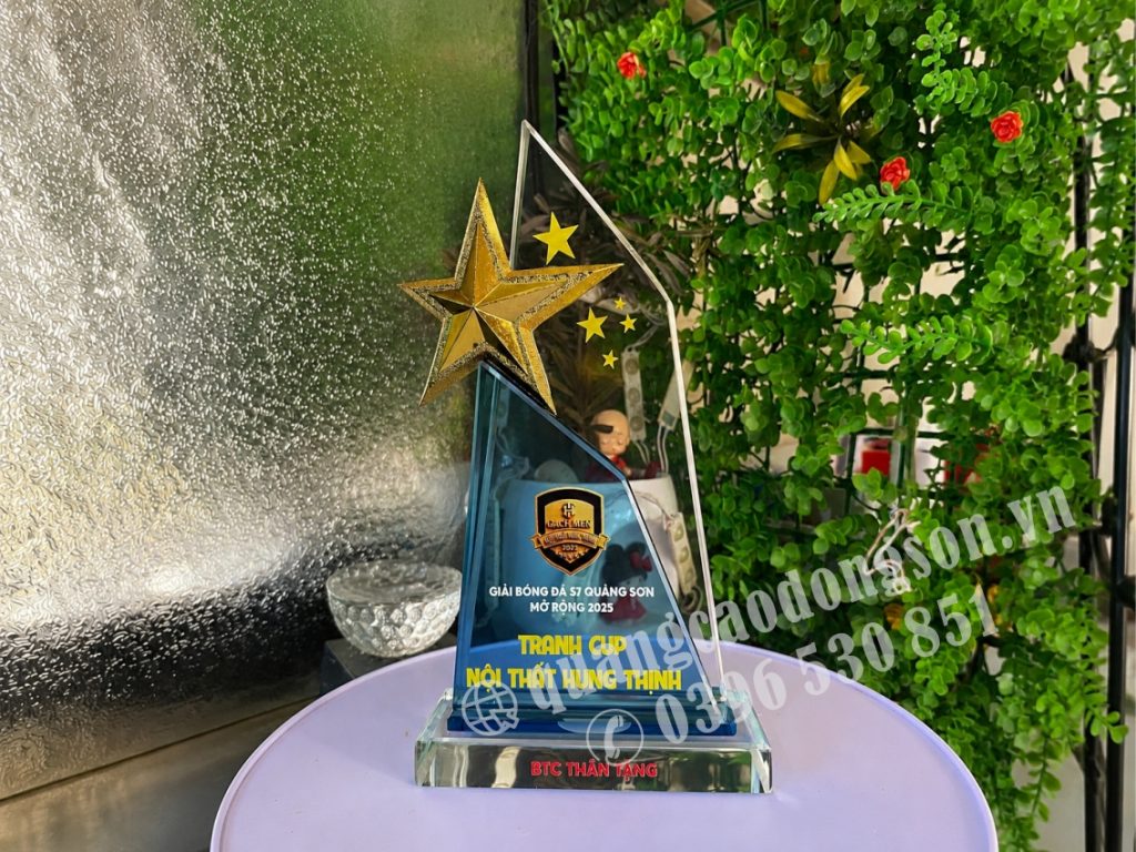 Kỷ niệm chương vinh danh được thiết kế và sản xuất theo yêu cầu với nhiều chất liệu như pha lê, thủy tinh, gỗ, mica và kim loại cao cấp. Phù hợp trao tặng cá nhân, doanh nghiệp, cơ quan, trường học, hội nghị, lễ kỷ niệm, chương trình tri ân và các sự kiện tôn vinh.